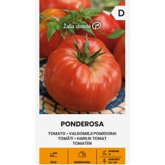 Домат Пондероса Ponderosa
