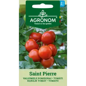 Домат Сейнт Пиер / Saint Pierre