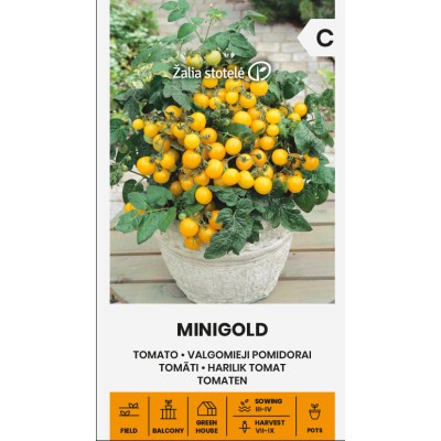 Чери домати Миниголд / Minigold