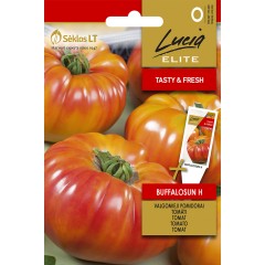Домати Бъфалосън F1 Buffalosun H