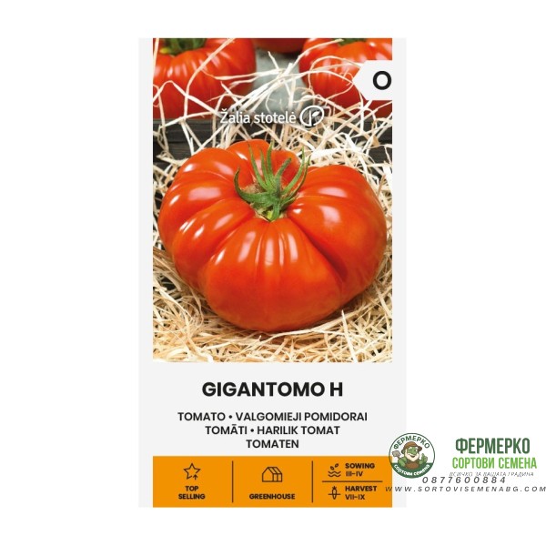 Домат Гигантомо F1 (достига до 1кг) Gigantomo H