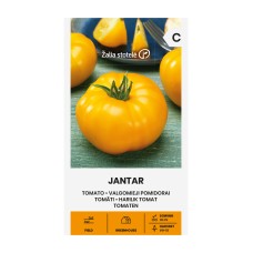 Домат Жантар Jantar