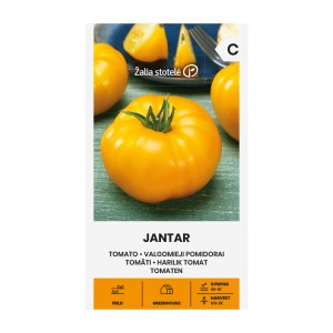 Домат Жантар / Jantar