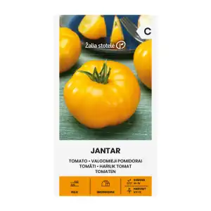Домат Жантар / Jantar