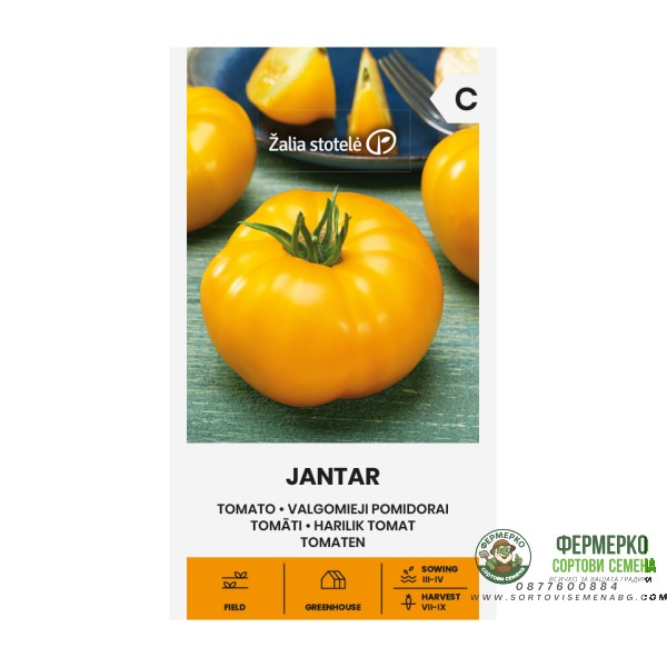 Домат Жантар Jantar