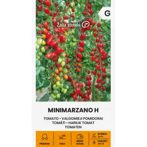 Домати Минимарцано F1 / Minimarzano H