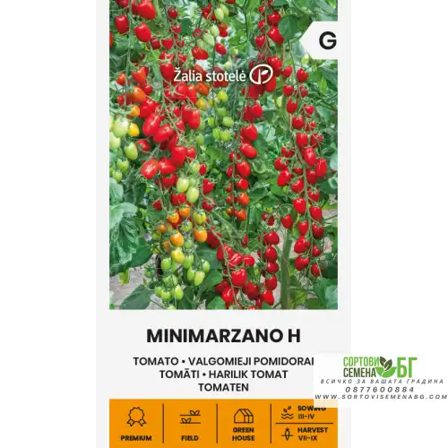 Домати Мини Марцано F1 / Minimarzano H Домати Мини Марцано F1 / Minimarzano H