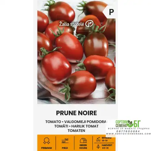 Домати чери черни Ноар / Prune noire Домати чери черни Ноар / Prune noire