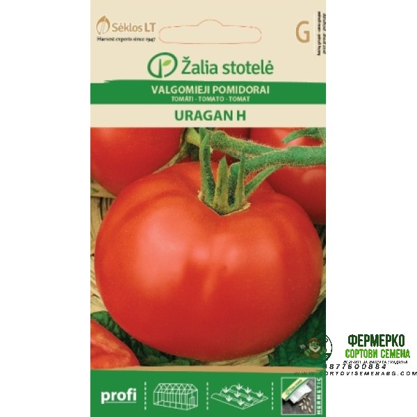 Домати Ураган F1