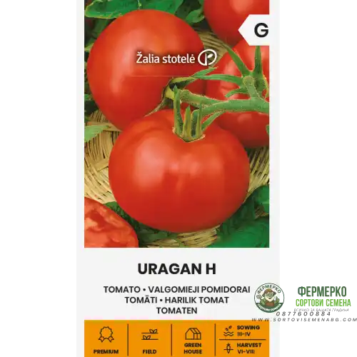 Домати Ураган F1