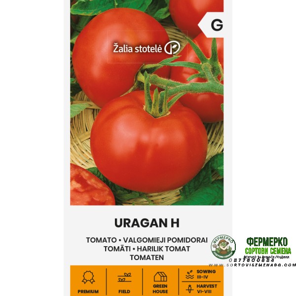 Домати Ураган F1