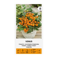 Чери домати Венера / Venus