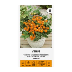 Чери домати балконски Венус Venus