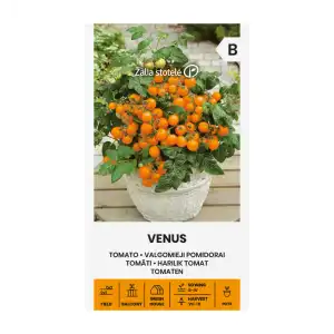 Чери домати Венус / Venus