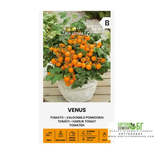 Чери домати Венус / Venus Чери домати Венус / Venus