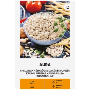 Фасул за зрял Аура / Aura (храстовиден с бяло зърно)