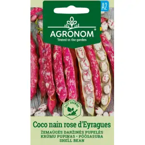 Фасул за зрял Коко Розе / Coco Nain Rose Deyragues (храстовиден с шарено розово–бяло зърно)