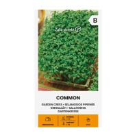 Семена за микро Крес Коммон /  Lepidium sativum L