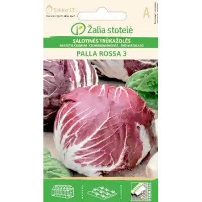Италианска Цикория тип глава / Palla Rossa 3