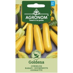 Тиквички Голдена Goldena