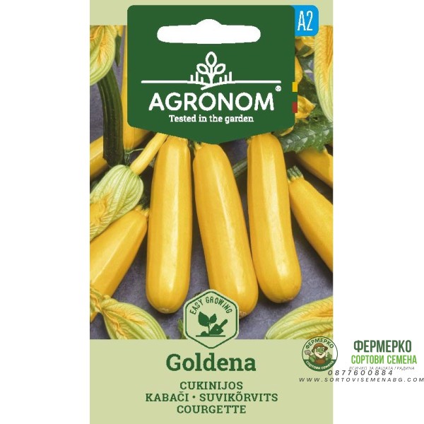 Тиквички Голдена Goldena