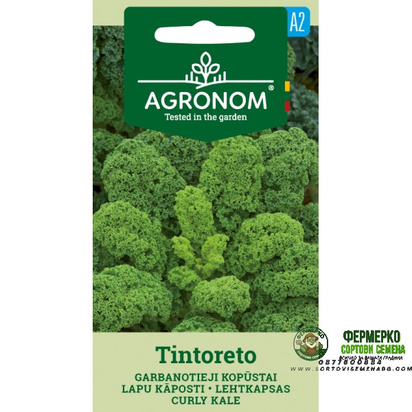 Кейл къдрав Тинторето Tintoreto