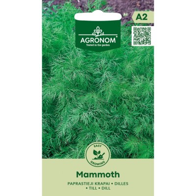 Копър Мамут / Mammoth