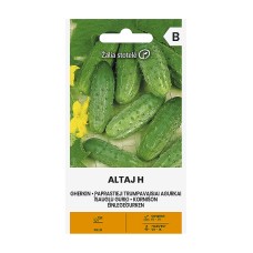 Корнишони Алтай F1 Altaj H