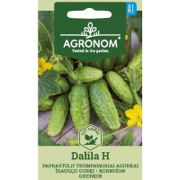 Корнишони Далила F1 / Dalila