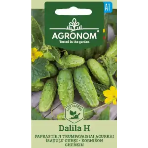 Корнишони Далила F1 / Dalila