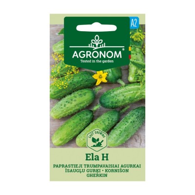 Корнишони Ела F1 Ela H