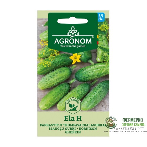 Корнишони Ела F1 Ela H