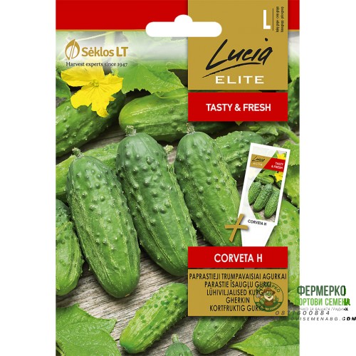 Корнишони Корвета F1 Corveta H