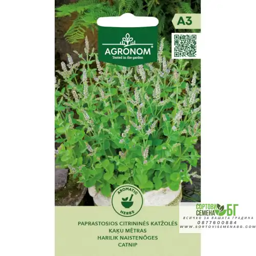 Непета (Котешка трева/Коча билка) / Nepeta cataria