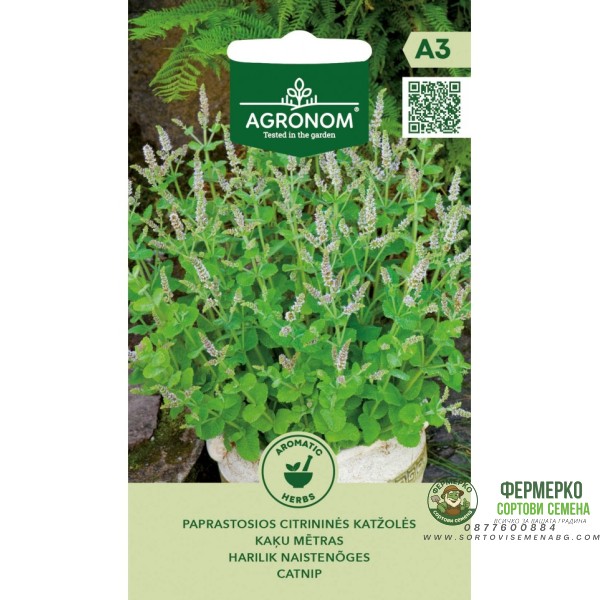 Непета (Котешка трева Коча билка) Nepeta cataria