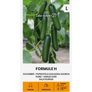Краставици Формула F1 / Formule H