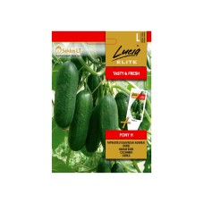 Краставици Пони F1 Pony H