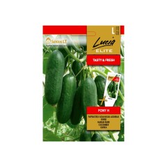 Краставици Пони F1 Pony H