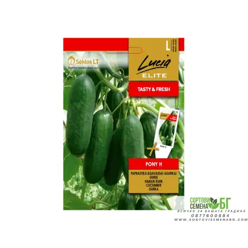 Краставици Пони F1 / Pony H