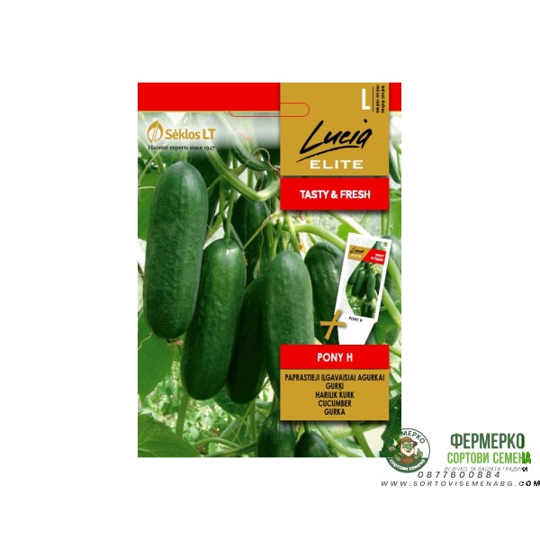 Краставици Пони F1 Pony H