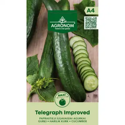 Краставици Телеграф Подобрени Telegraph Improved