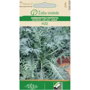 Кейл (Къдраво зеле) Fizz / Brassica oleracea