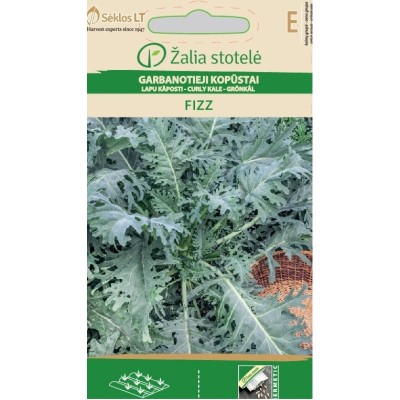 Кейл (Къдраво зеле) Fizz / Brassica oleracea