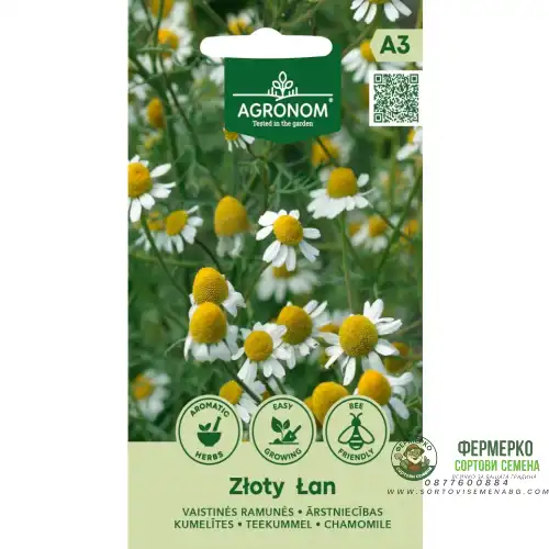 Медицинска Лайка / Matricaria recutita