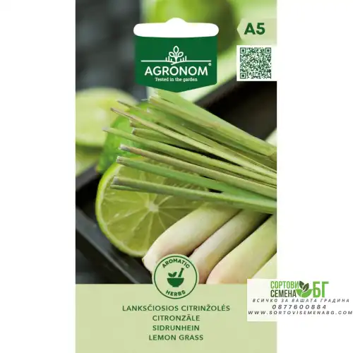 Лимонена трева / Lemon grass Лимонена трева / Lemon grass