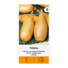 Лук Тоска Allium cepa L Tosca