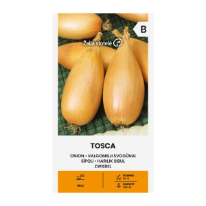 Лук Тоска Allium cepa L Tosca