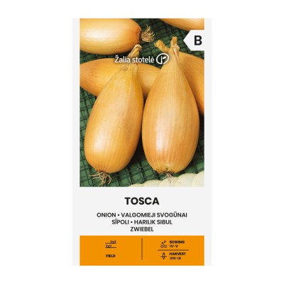 Лук Тоска Allium cepa L Tosca