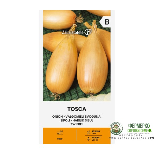 Лук Тоска Allium cepa L Tosca