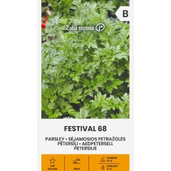 Магданоз Фестивал 68 Festival 68